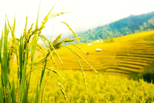 産(chǎn)品系列豐富